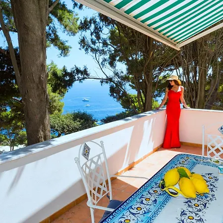 Schiattarella * Capri