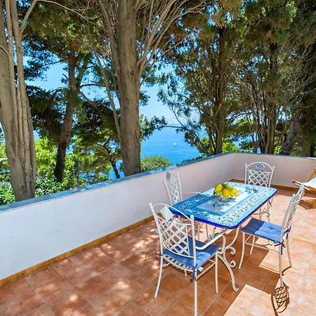 Schiattarella Capri